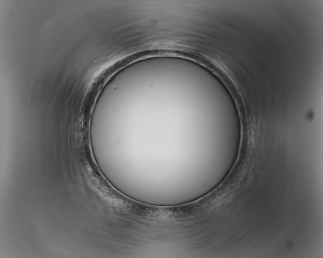 X0000116350971200912151347