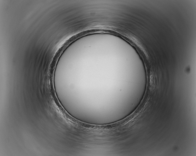 X0000116350972200912151347