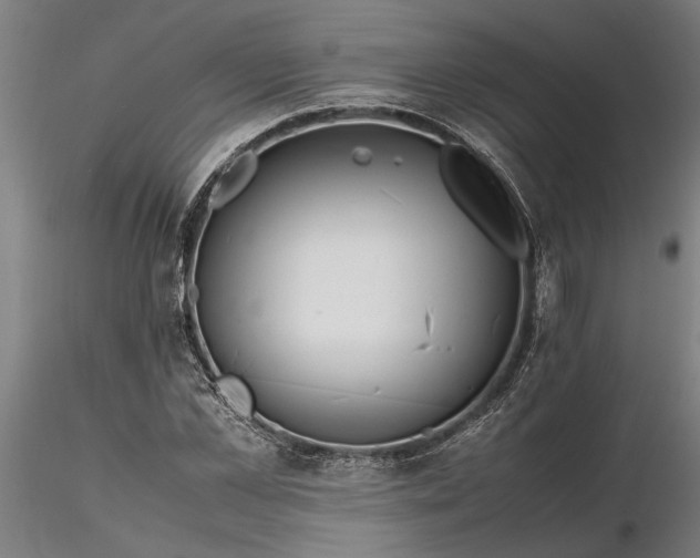 X0000116350973200912151347