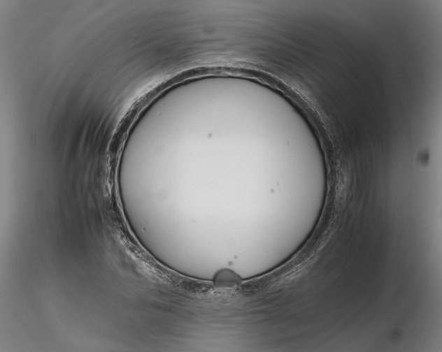 X0000116350974200912151347