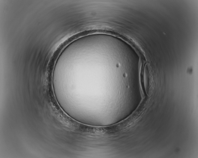 X0000116350975200912151347