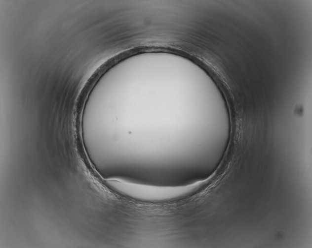 X0000116350976200912151347