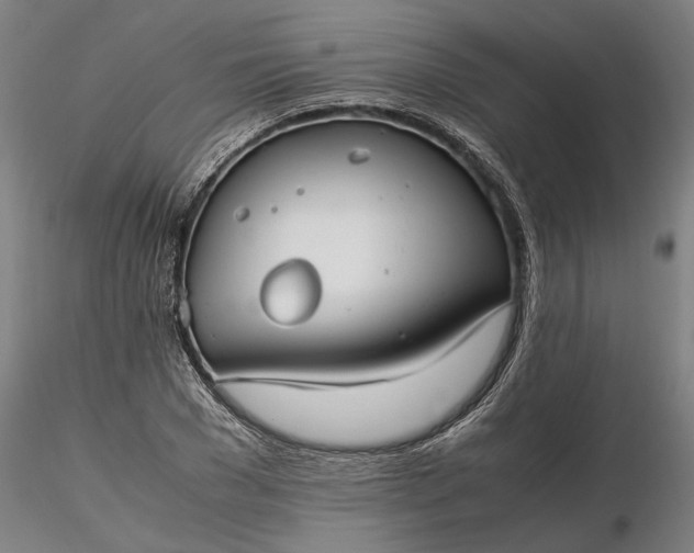 X0000116350977200912151347