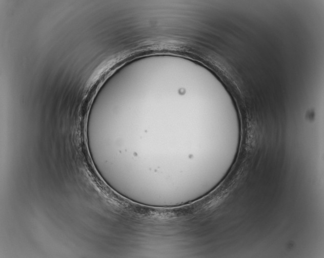 X0000116350978200912151347