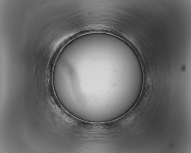 X0000116350979200912151347