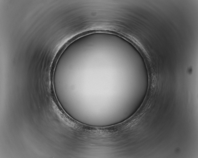 X0000116350980200912151347