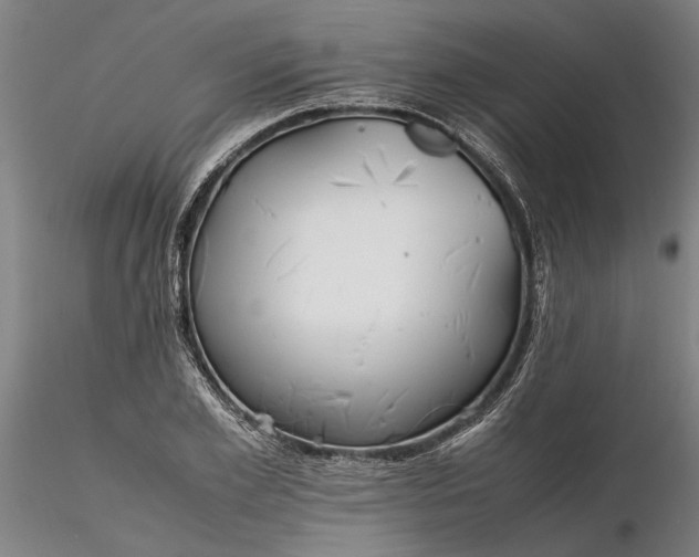 X0000116350981200912151347