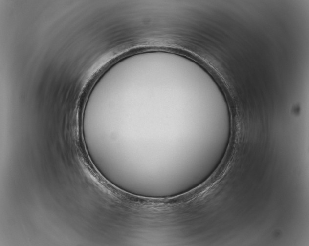 X0000116350982200912151347