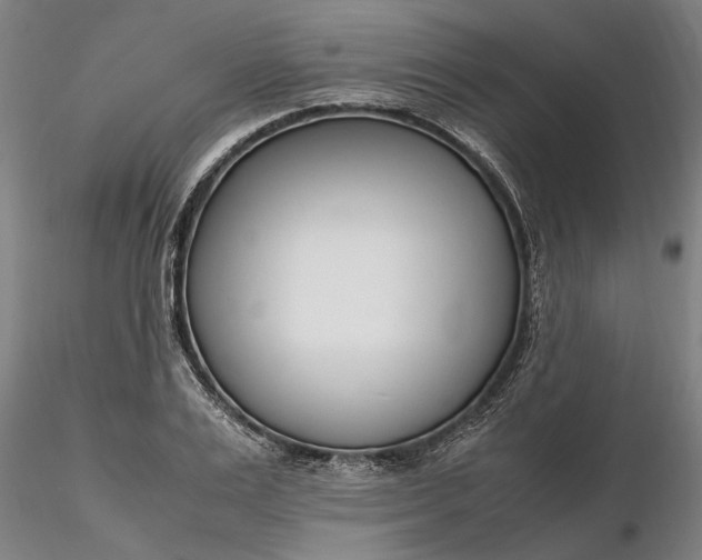 X0000116350983200912151347