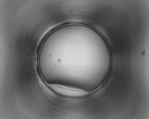 X0000116350984200912151347