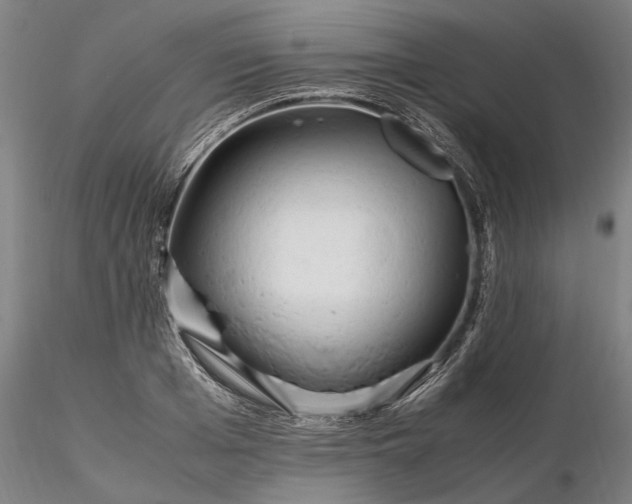 X0000116350985200912151347