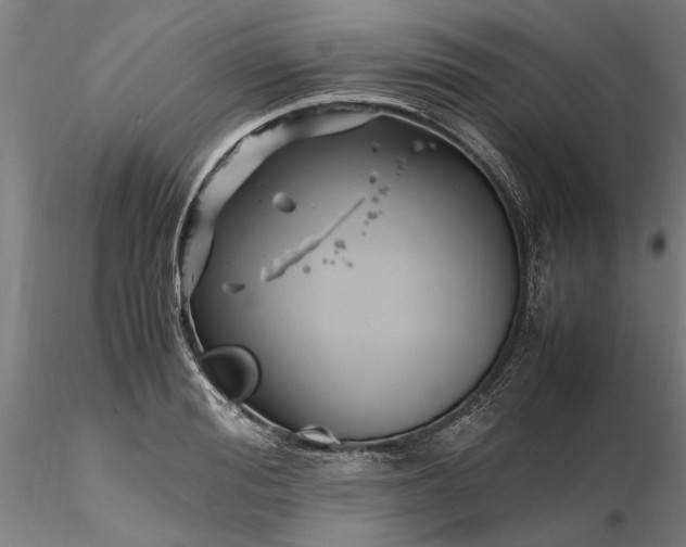 X0000116350988200912151347