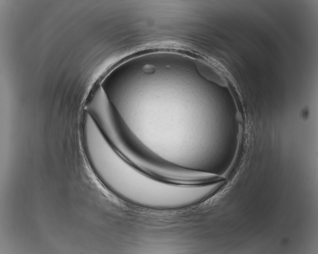 X0000116350989200912151347