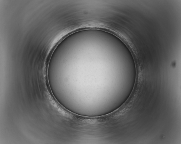 X0000116350990200912151347