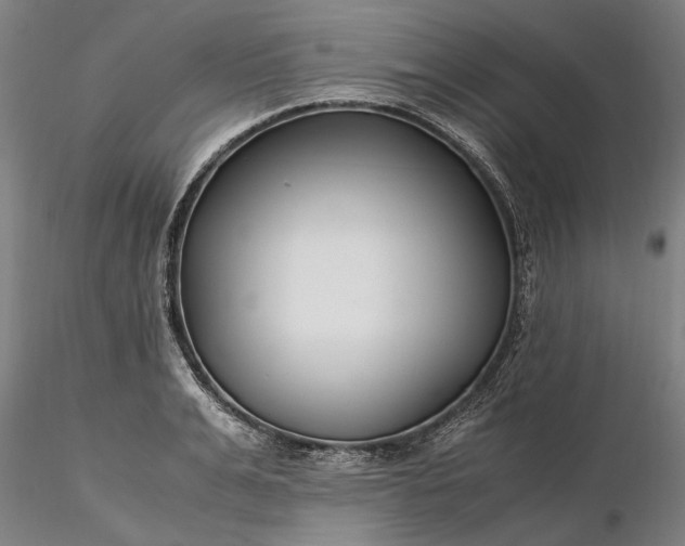 X0000116350991200912151347