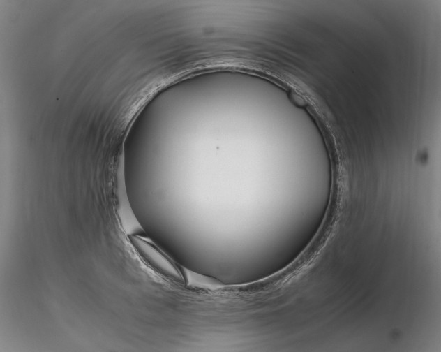 X0000116350993200912151347