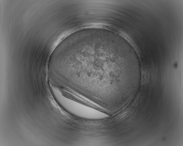 X0000116350994200912151347