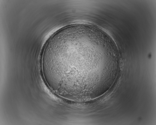 X0000116350995200912151347