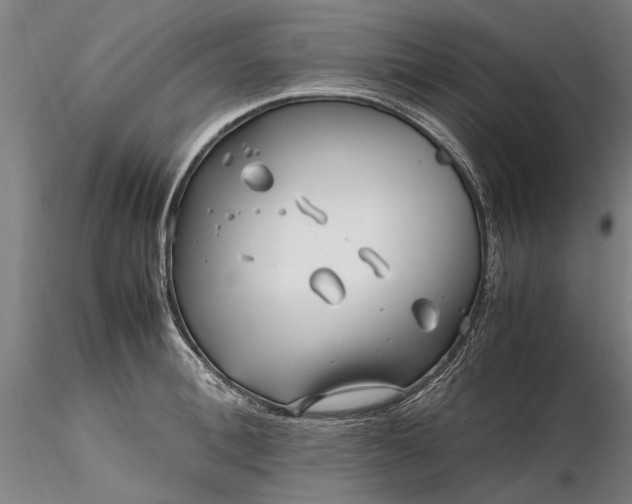 X0000116350996200912151346