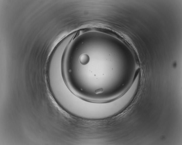 X0000116350997200912151346