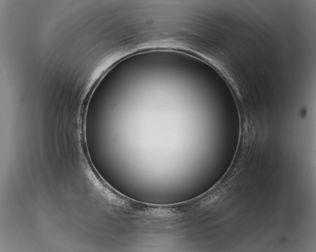 X0000116350998200912151346