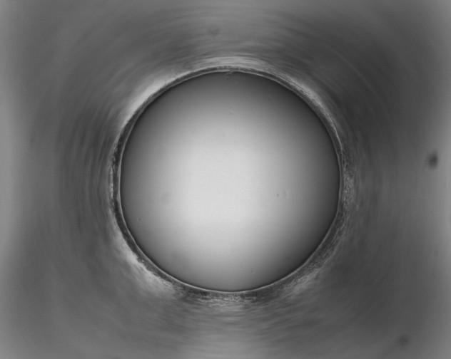 X0000116350999200912151346