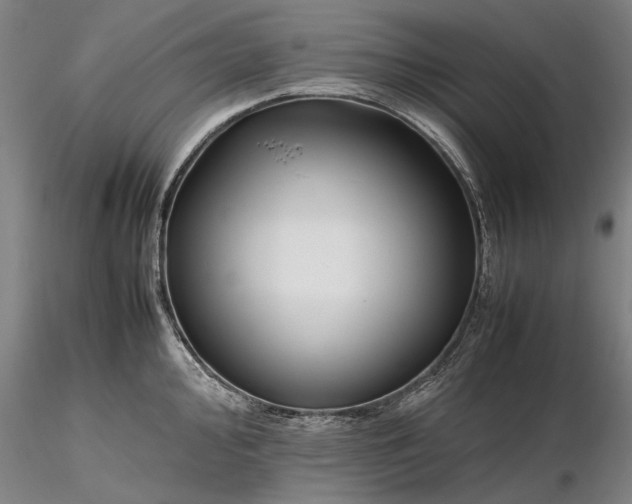 X0000116351000200912151346