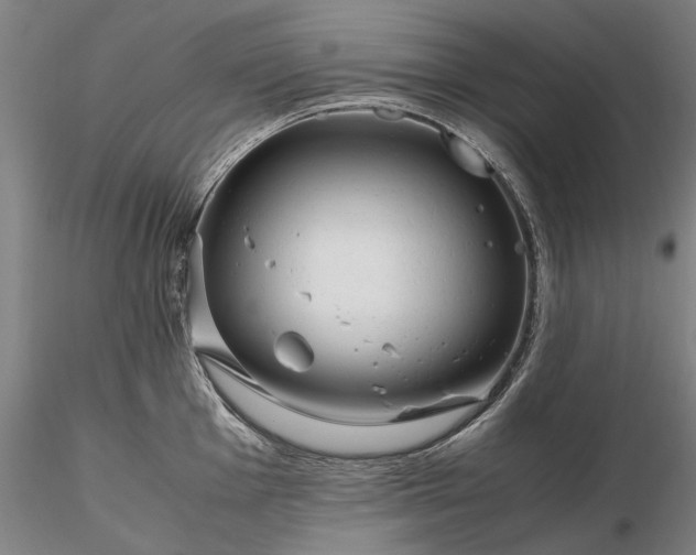 X0000116351001200912151346