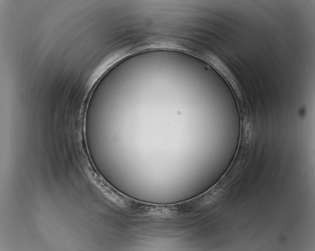 X0000116351002200912151346