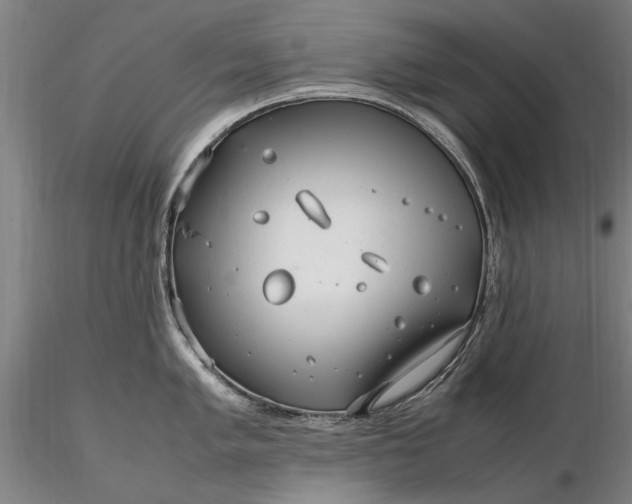 X0000116351005200912151346