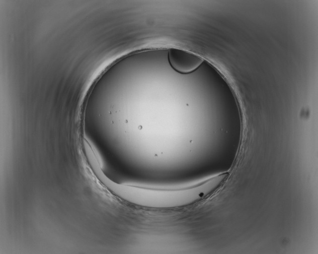 X0000116351008200912151346