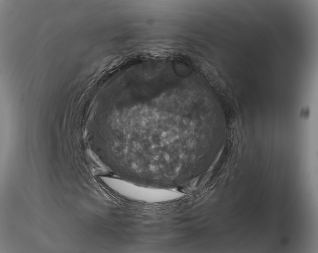 X0000116351009200912151346