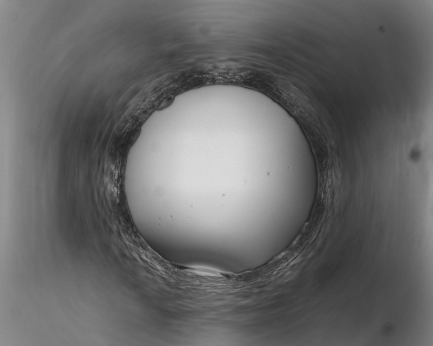 X0000116351010200912151346