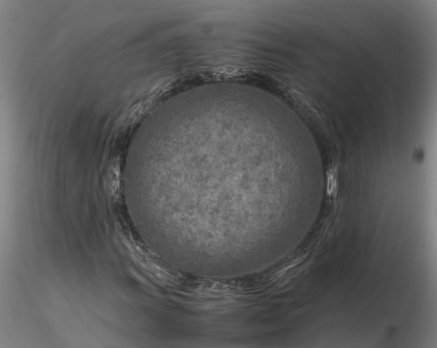 X0000116351011200912151346