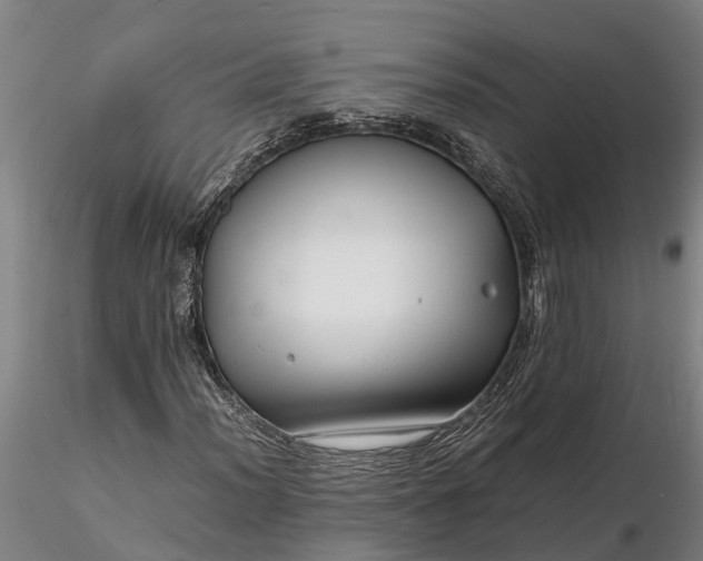 X0000116351012200912151346