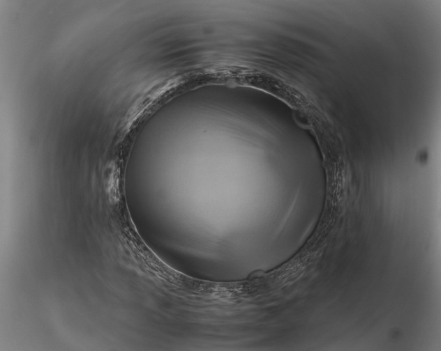 X0000116351013200912151346