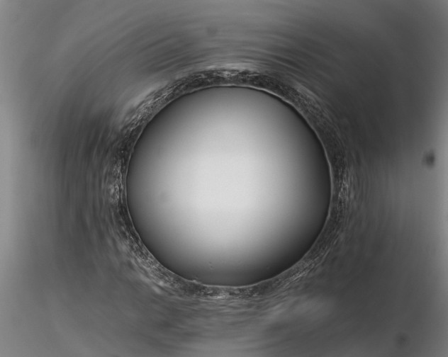 X0000116351014200912151346