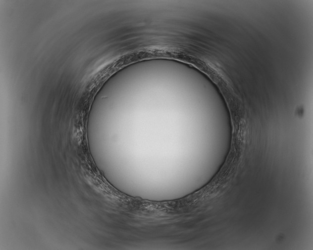 X0000116351015200912151346