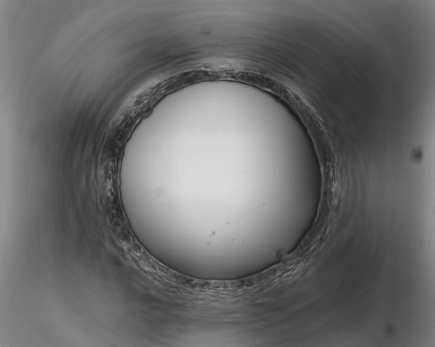 X0000116351016200912151346