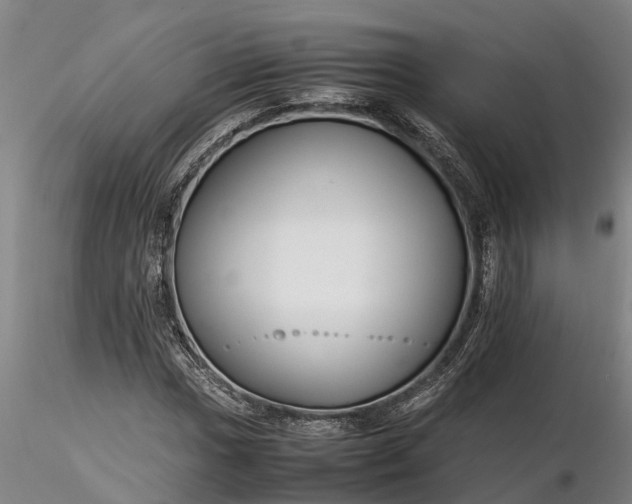 X0000116351017200912151346