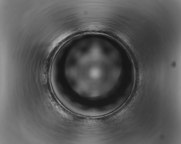 X0000116351018200912151346