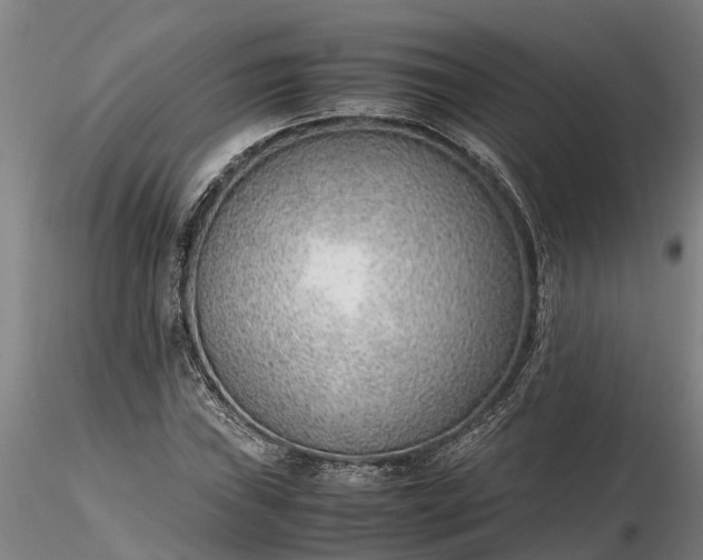 X0000116351019200912151346