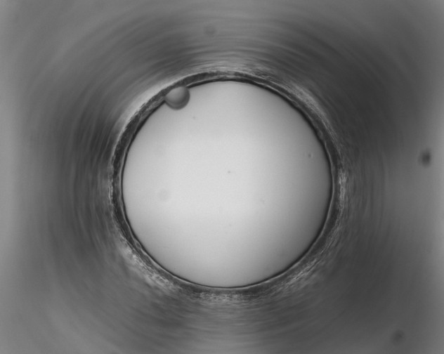 X0000116351020200912151346