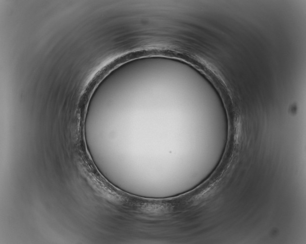 X0000116351021200912151346