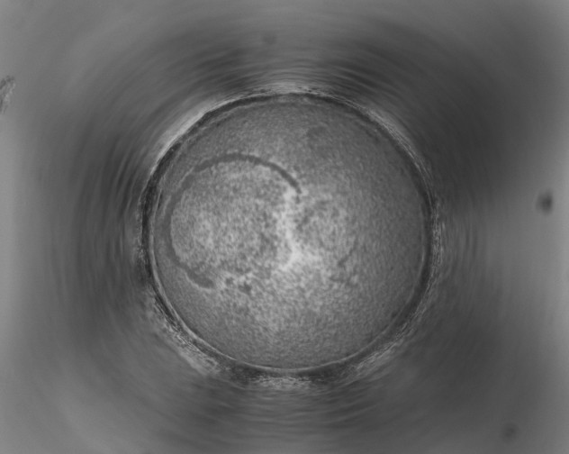 X0000116351023200912151346