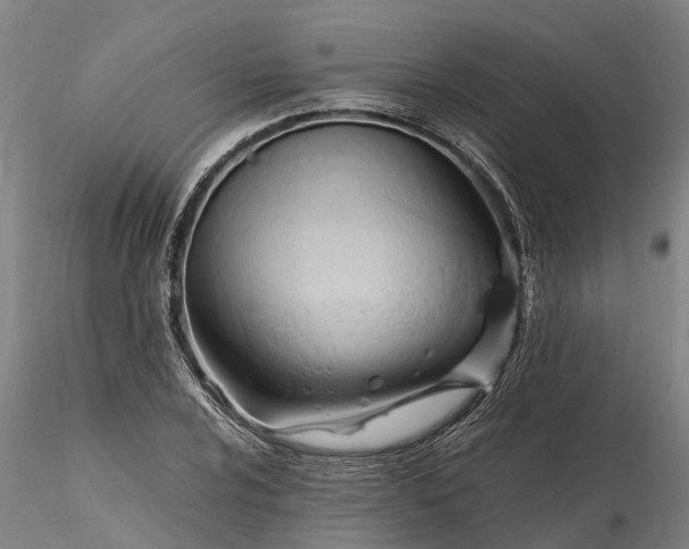 X0000116351024200912151346