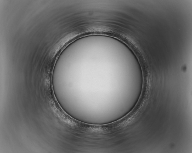 X0000116351025200912151346