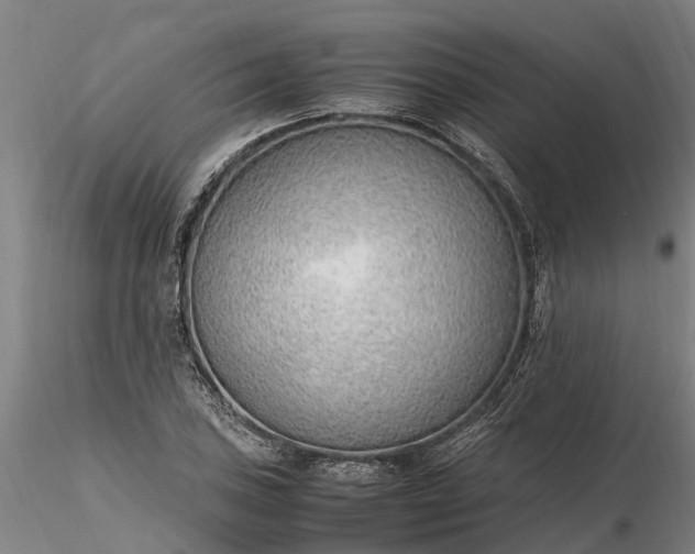 X0000116351027200912151346