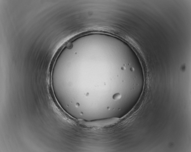 X0000116351028200912151346