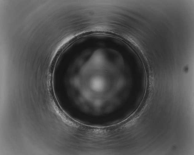 X0000116351029200912151346